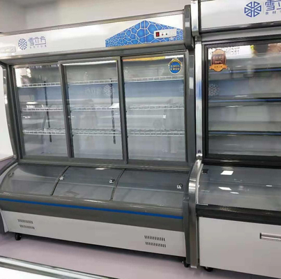 Restaurant Barbecue Commercial Upright Freezer Glass Door for Food Beverage Dishes