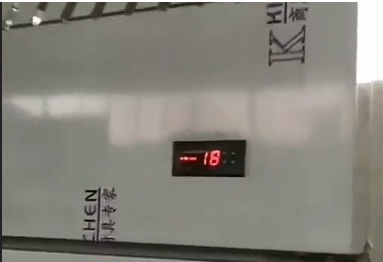 Restaurant Kitchen Stainless Steel 2 Door Freezer Commercial Deep Refrigeration Refrigerator