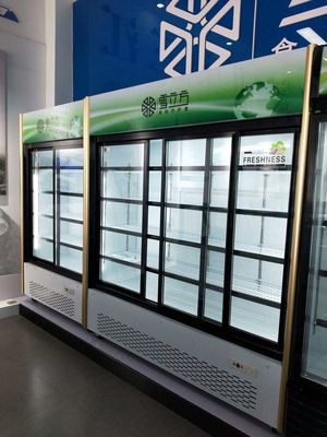 Commercial Soda Upright Glass Door Freezer Pepsi Cola