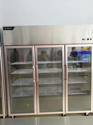 Three door glass door stainless steel refrigerated fresh-keeping frozen food meat ice cream display vertical freezer