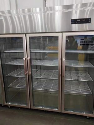 Three door glass door stainless steel refrigerated fresh-keeping frozen food meat ice cream display vertical freezer