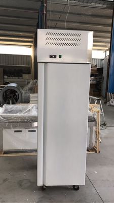 Stainless Steel Vertical Small Size Large Capacity Refrigerator Freezer Commercial Home Refrigeration Facilities