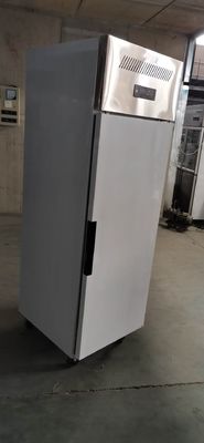 Stainless Steel Vertical Small Size Large Capacity Refrigerator Freezer Commercial Home Refrigeration Facilities