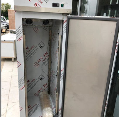 Stainless Steel Vertical Small Size Large Capacity Refrigerator Freezer Commercial Home Refrigeration Facilities