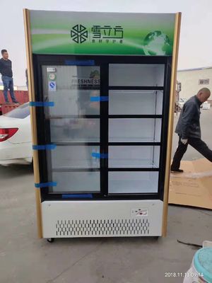 2/3 Sliding Door Beverage Commercial Display Cabinets Green Series Air Cooled