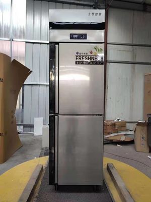 Stainless Steel Double Door Reefer Freezer Freezer