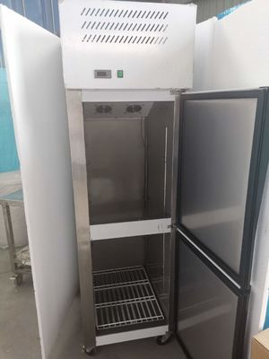 Stainless Steel Double Door Reefer Freezer Freezer