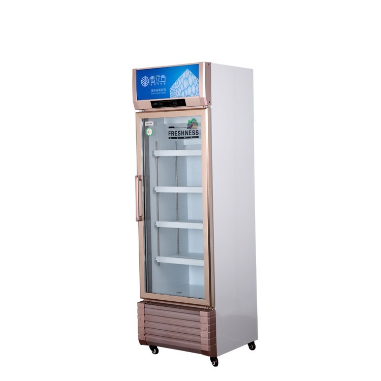 Single Door Glass Door Refrigerated Beverage Display Commercial Cabinet